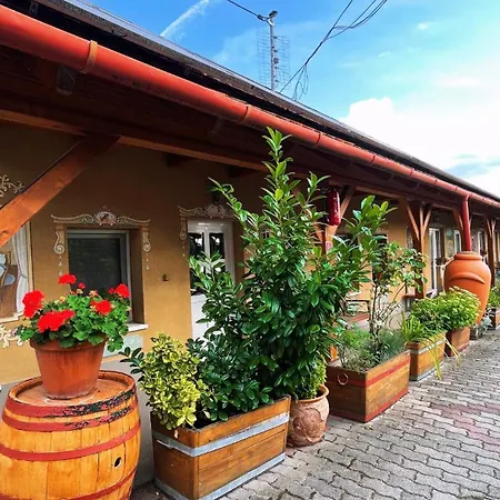 Vadvirag Vendeglo Es Fogado B&B 타타반야