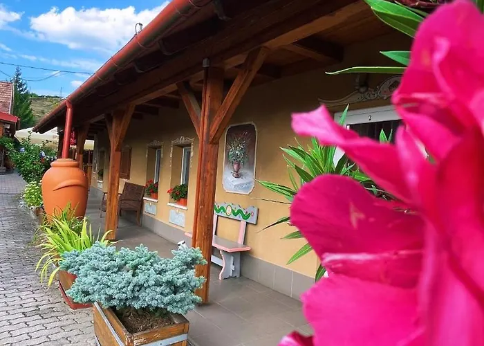 Vadvirag Vendeglo Es Fogado 住宿加早餐酒店