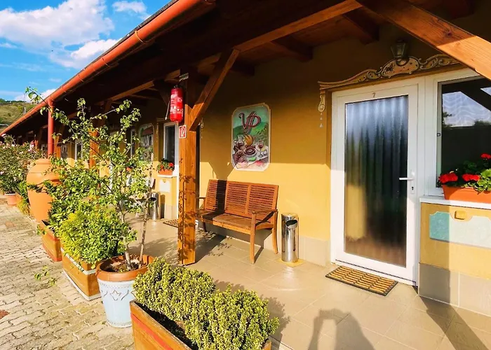 B&B Vadvirag Vendeglo Es Fogado